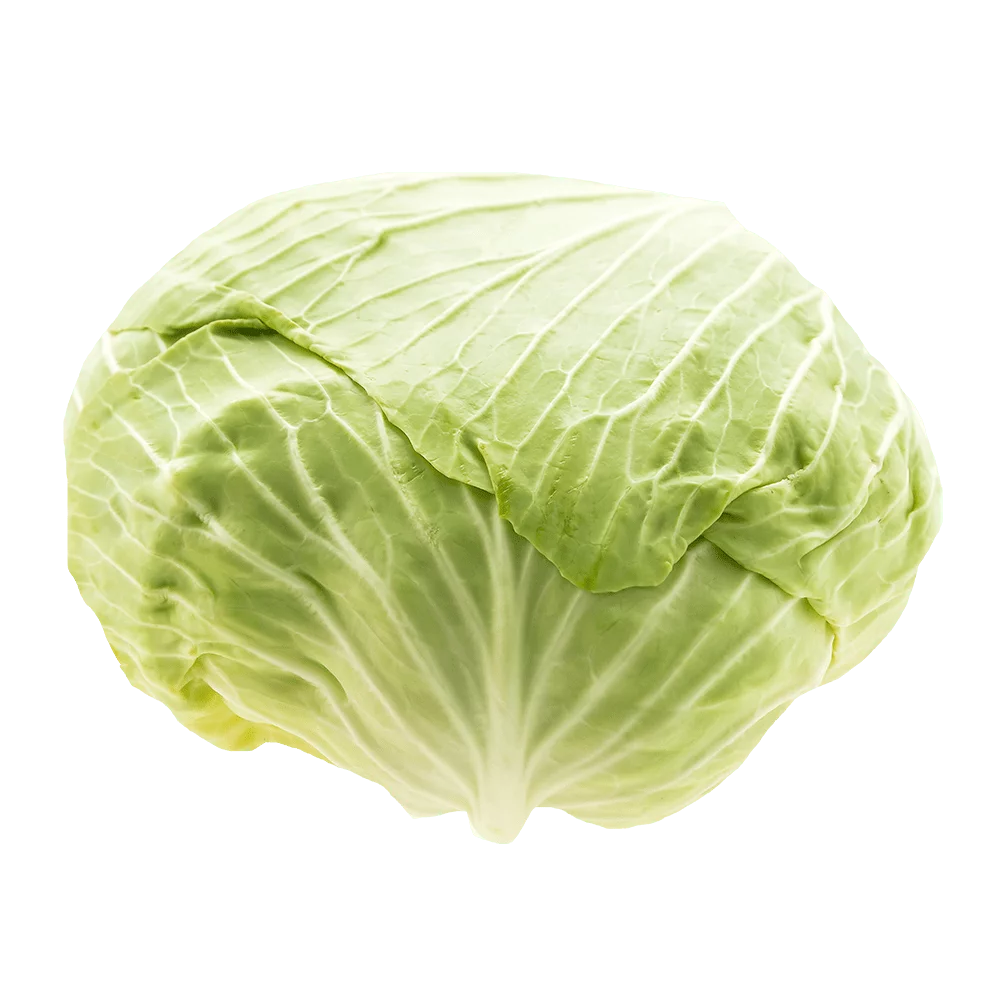 Kapusta biała kg