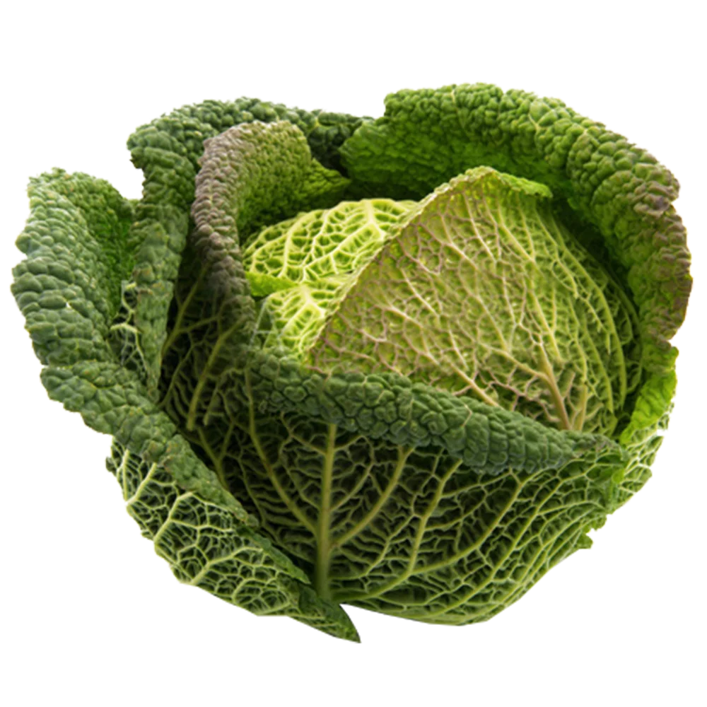 Kapusta włoska szt