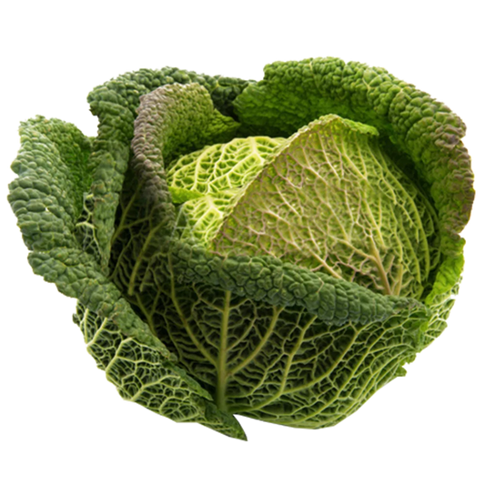 Kapusta włoska szt